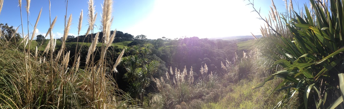 View from a hidden picnic spot, Helensville, Auckland